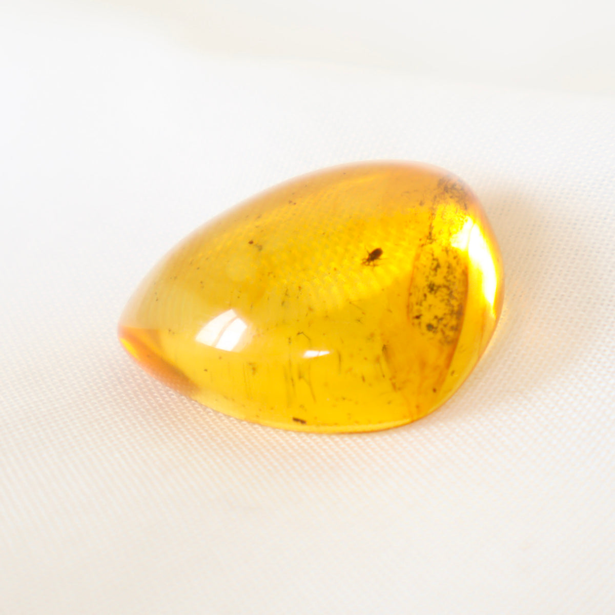 Baltic Amber w Bug (A)