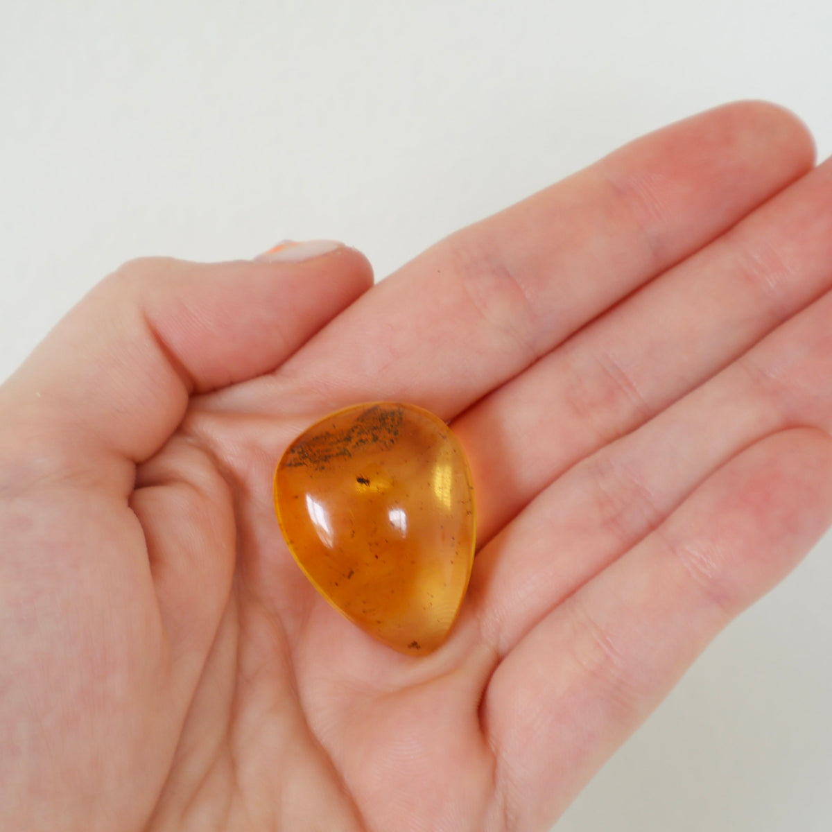 Baltic Amber w Bug (A)