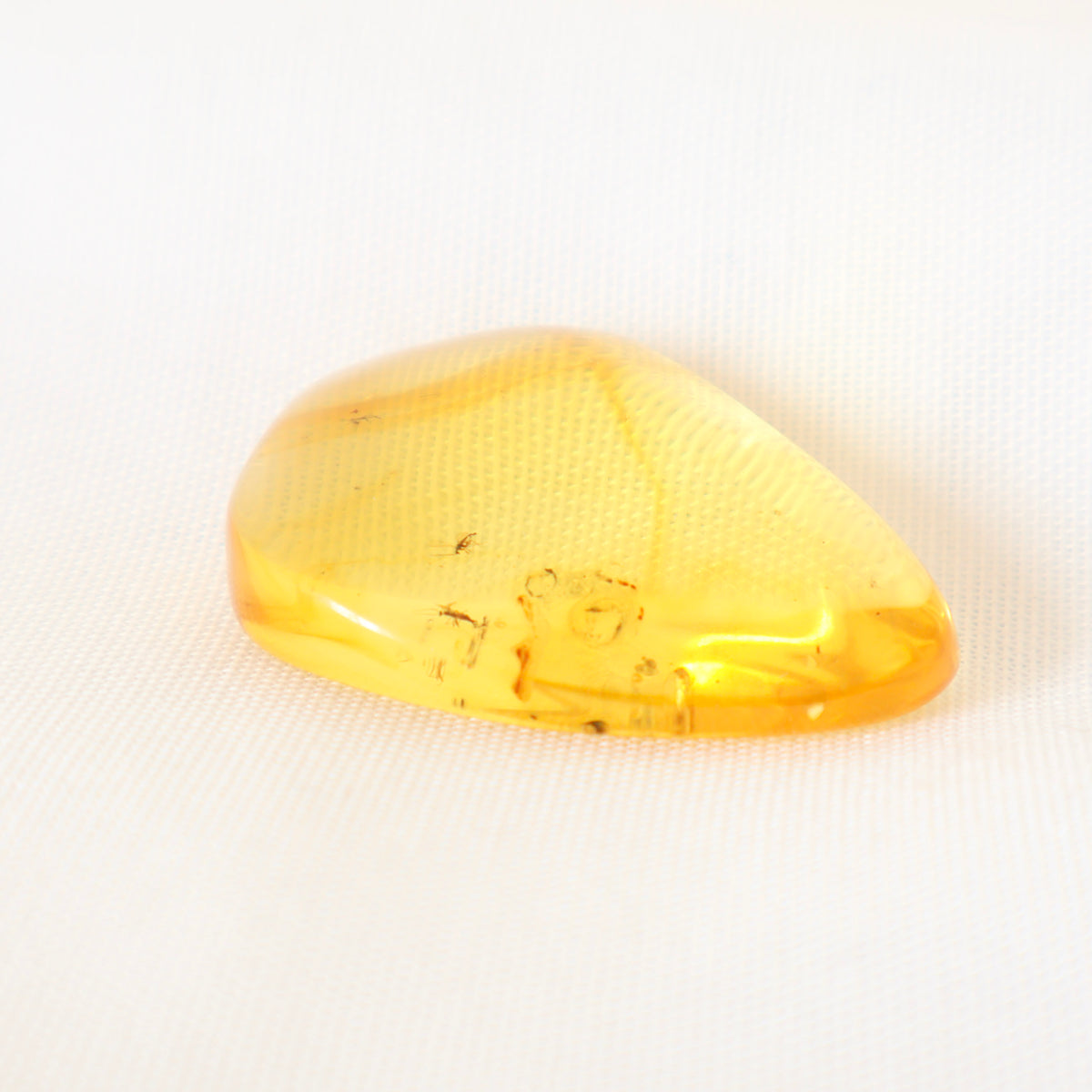 Baltic Amber with Bugs (B)