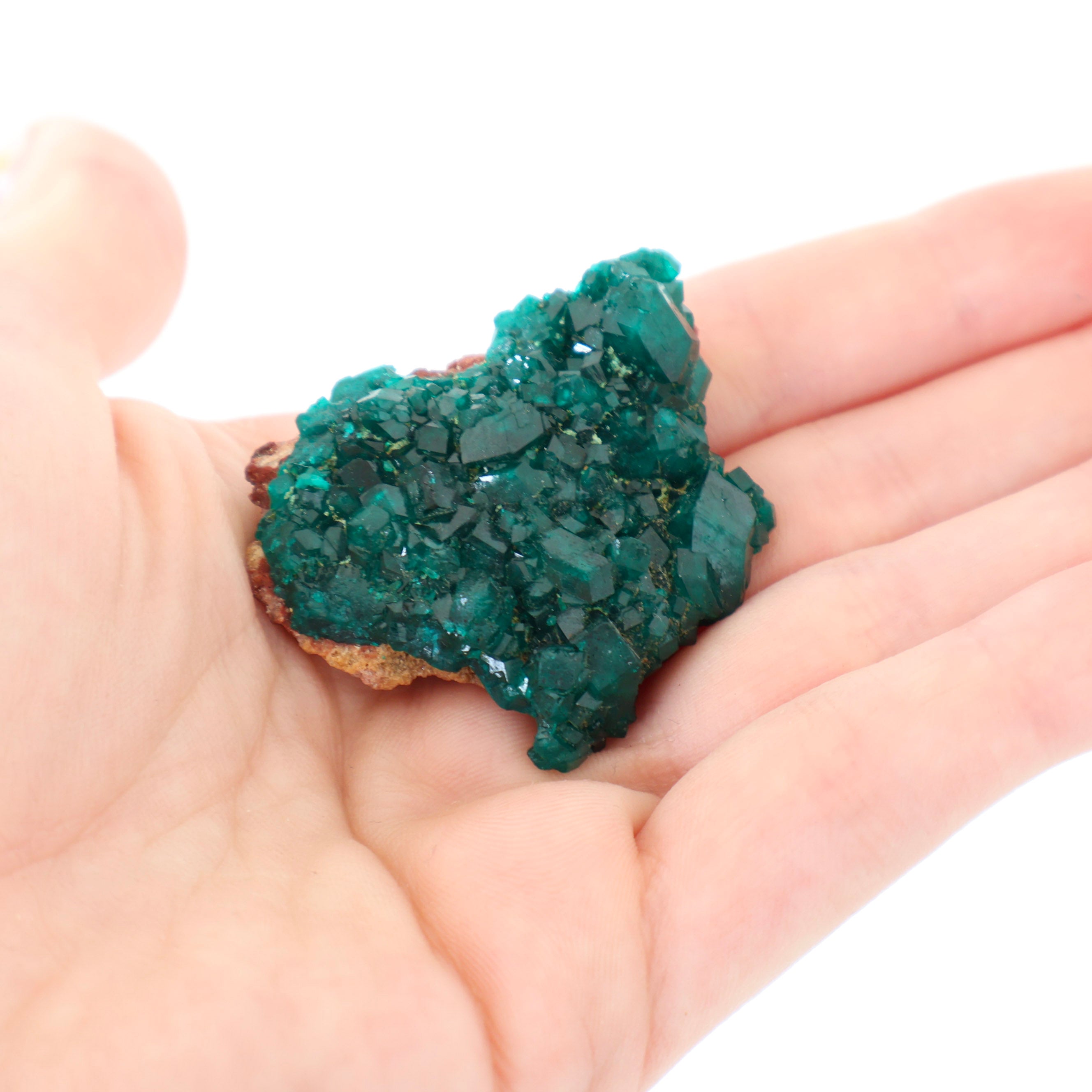 Specimens – Geoscape Rock Shop