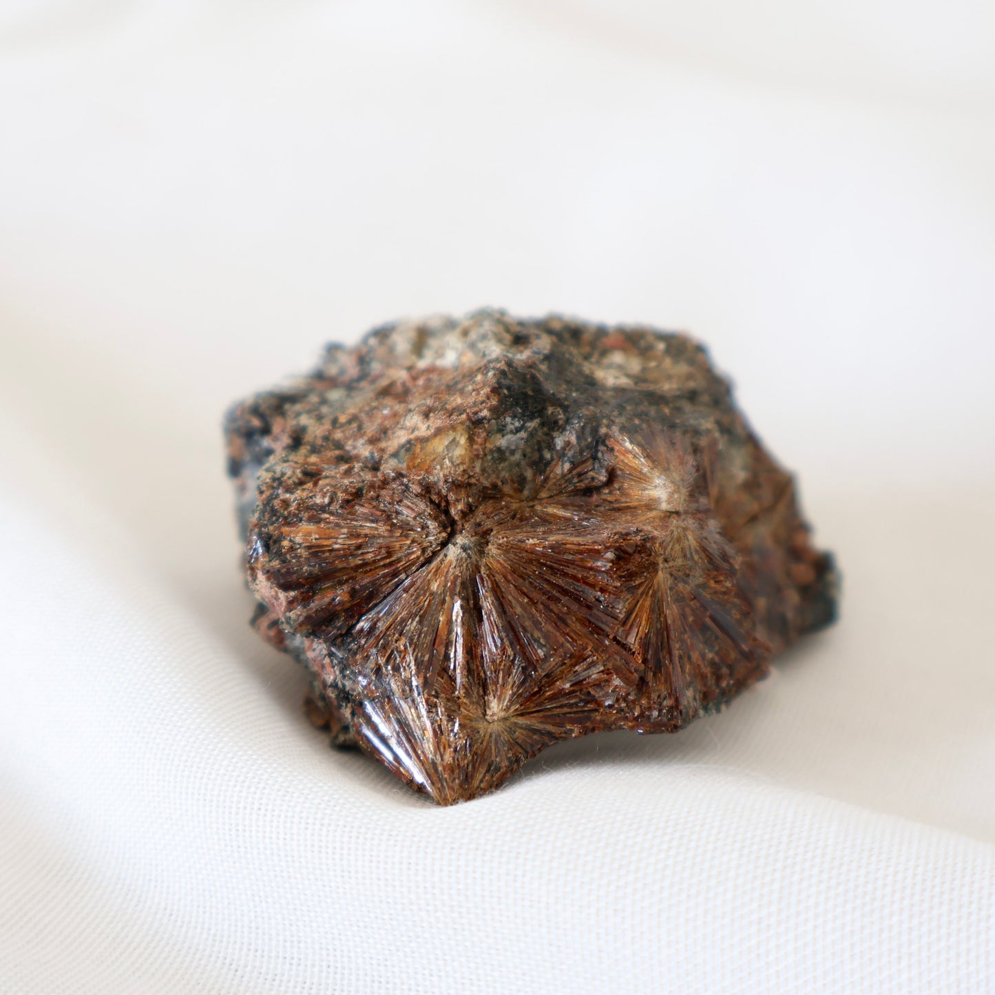 Russian Lamprophyllite