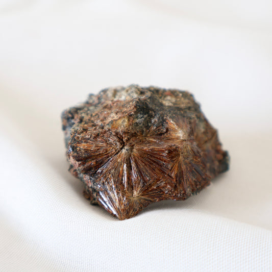 Russian Lamprophyllite