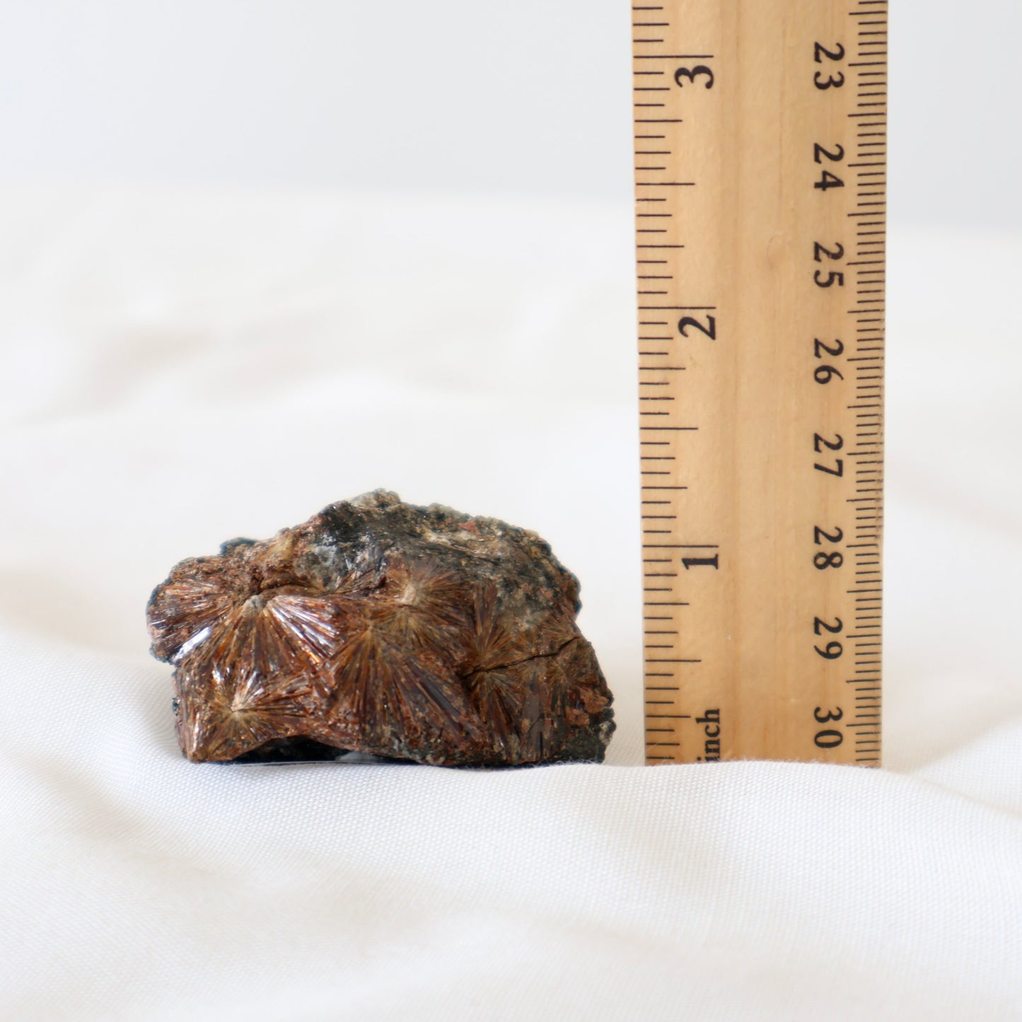 Russian Lamprophyllite