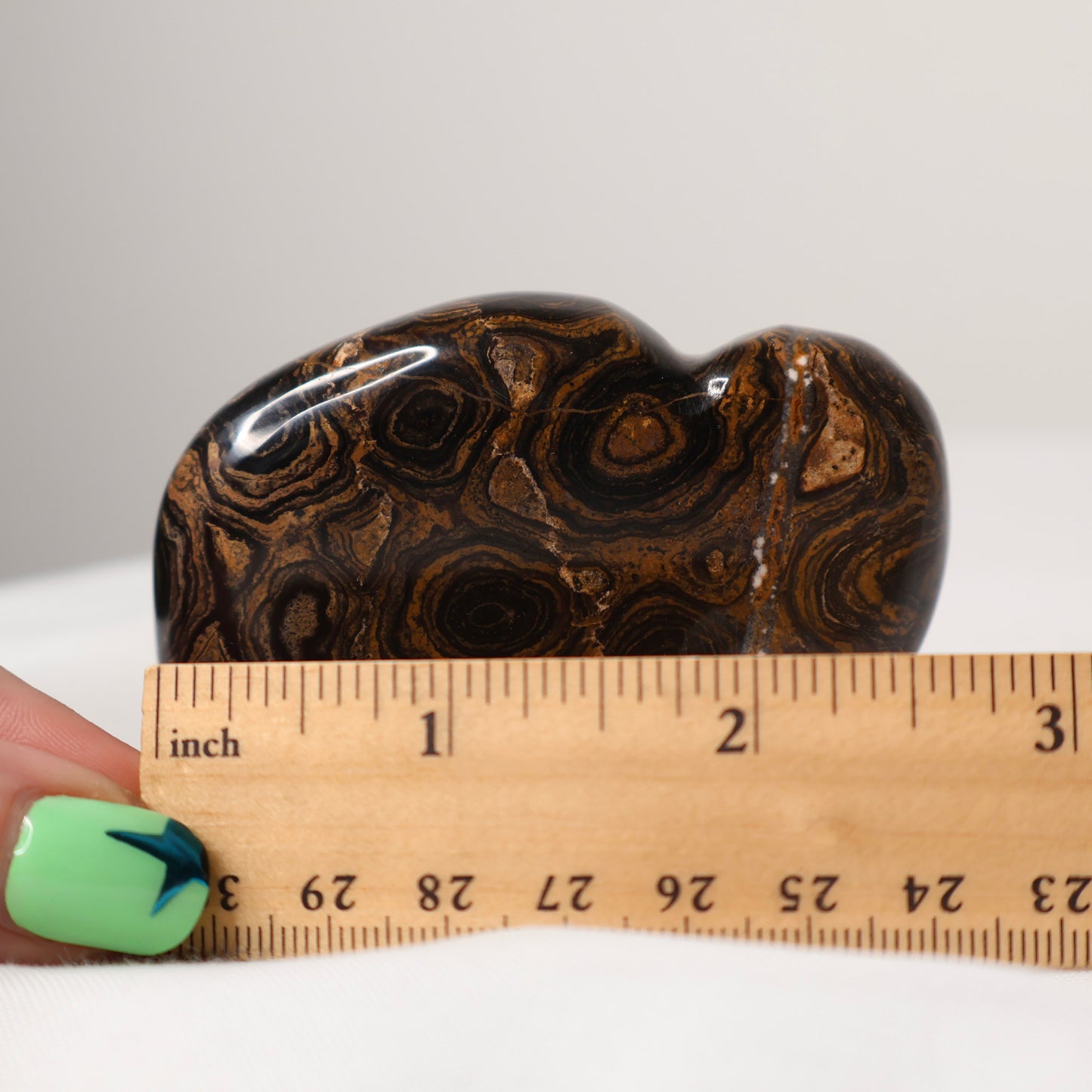 Stromatolite Buffalo Carving