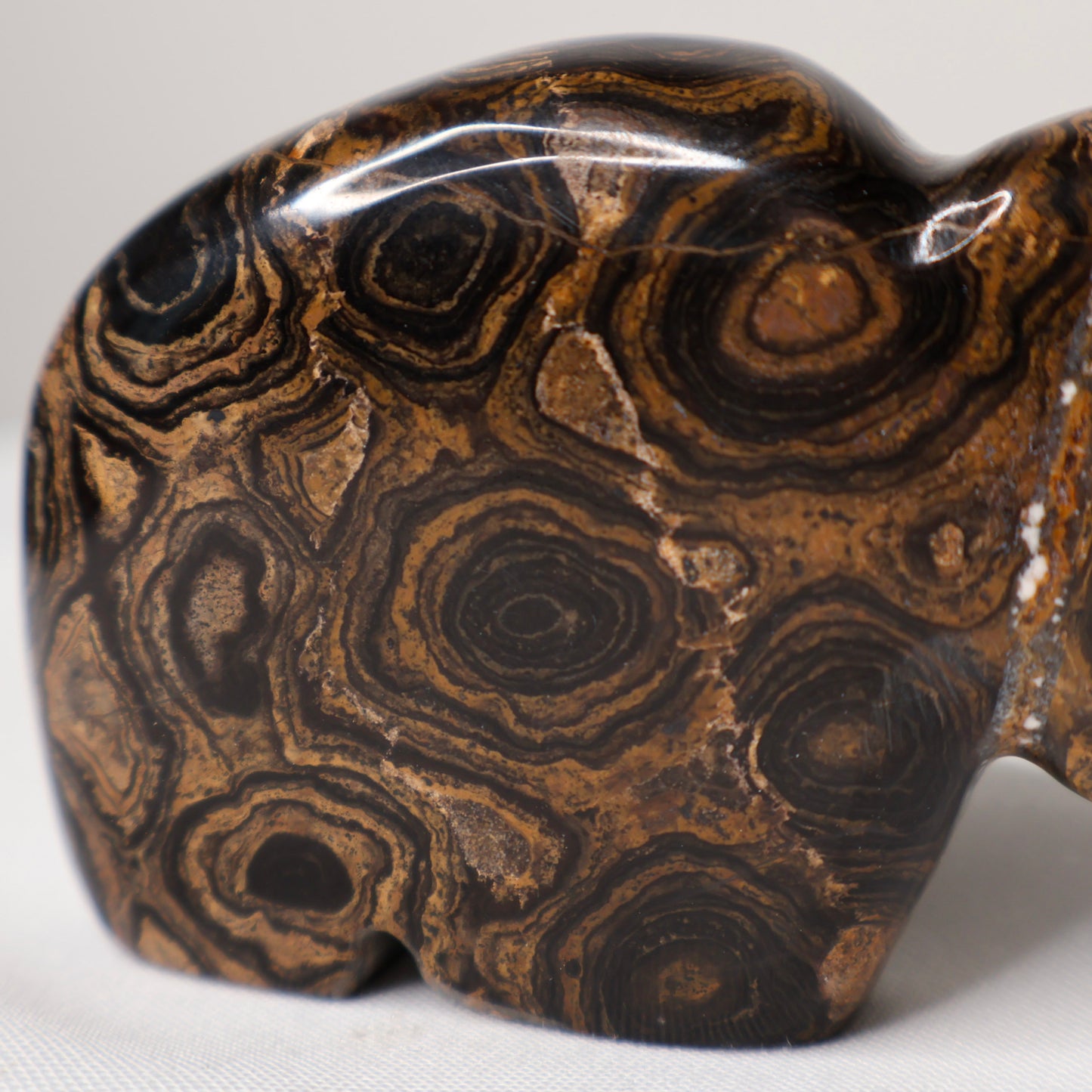 Stromatolite Buffalo Carving