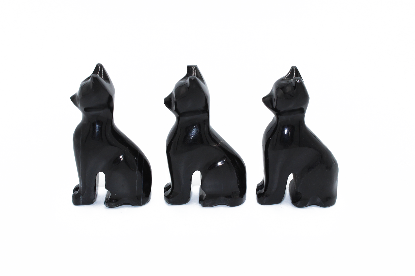 Black Onyx Cat