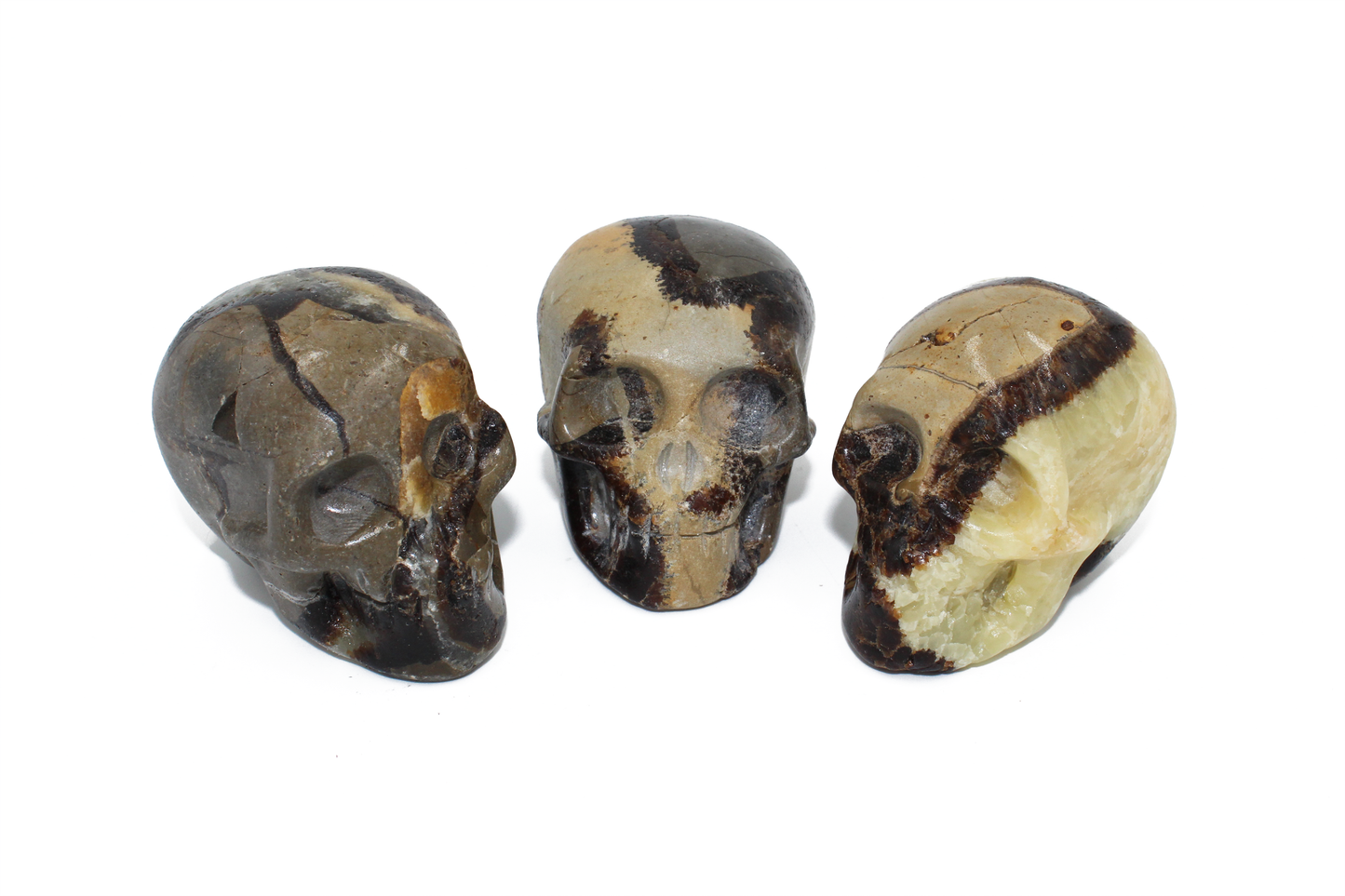 Septarian Skull