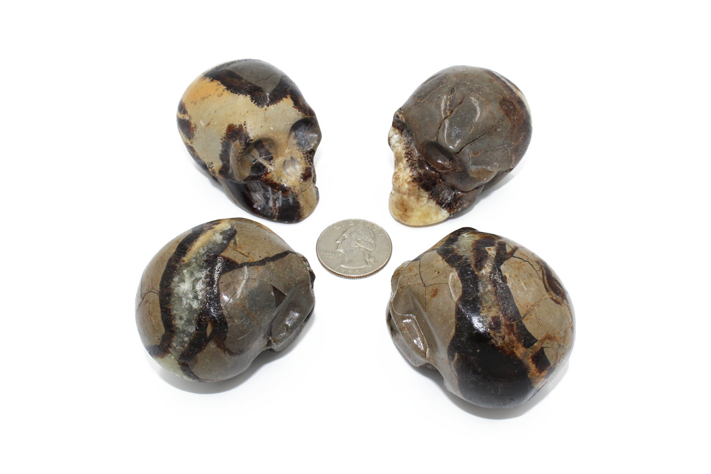 Septarian Skull