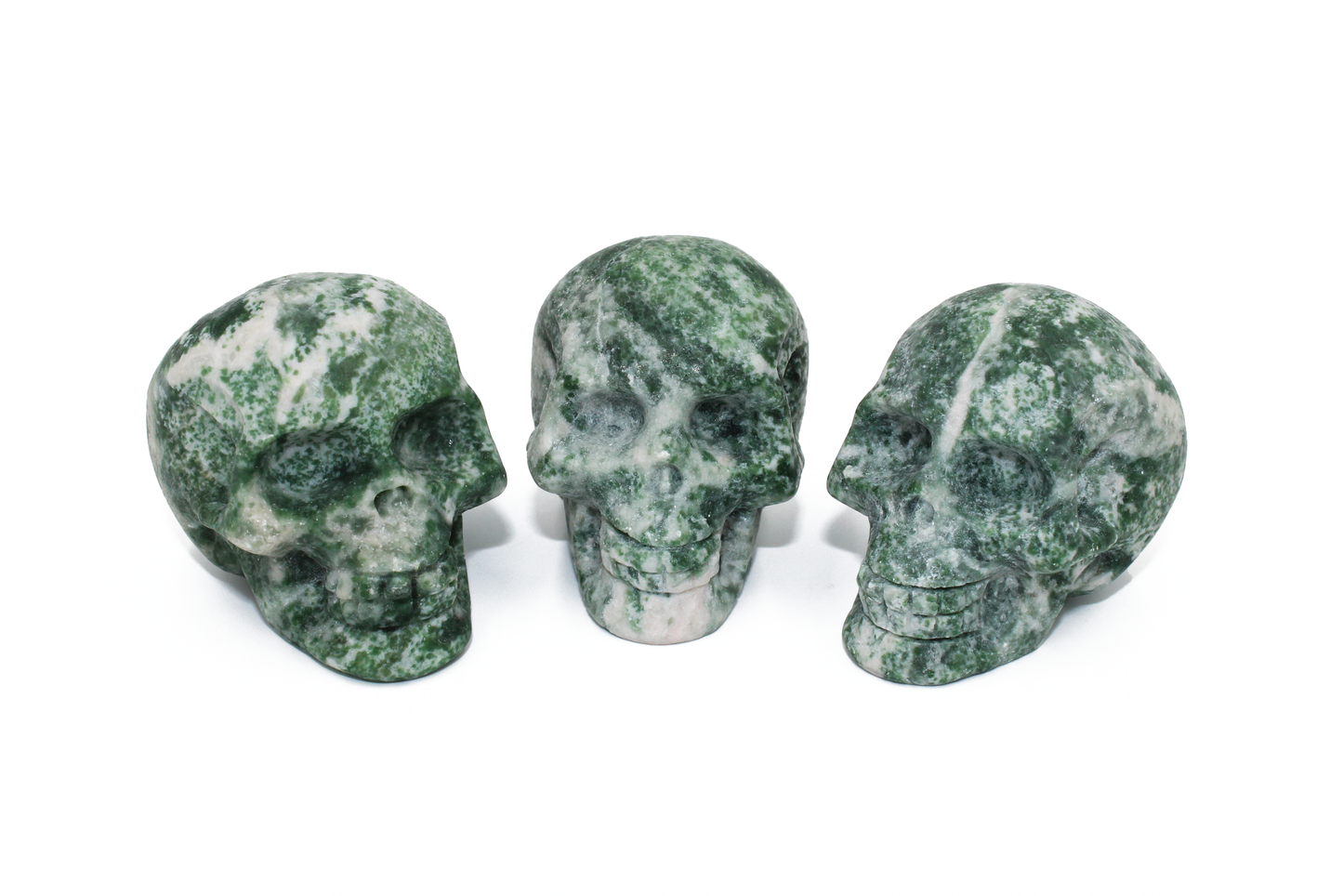 Tree Agate Skull