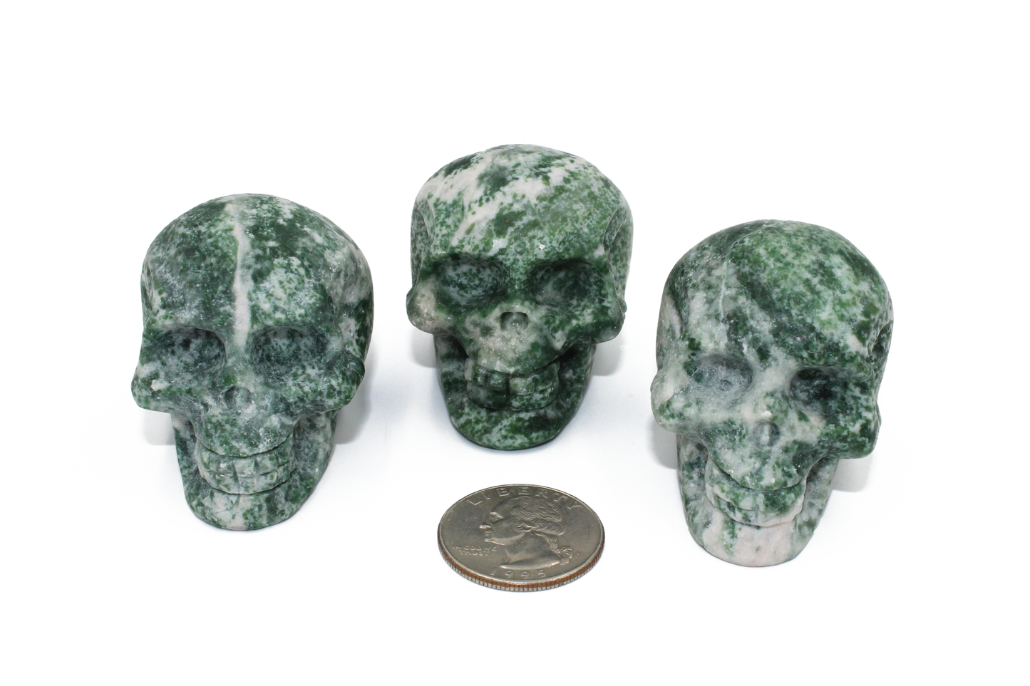 Tree Agate Skull