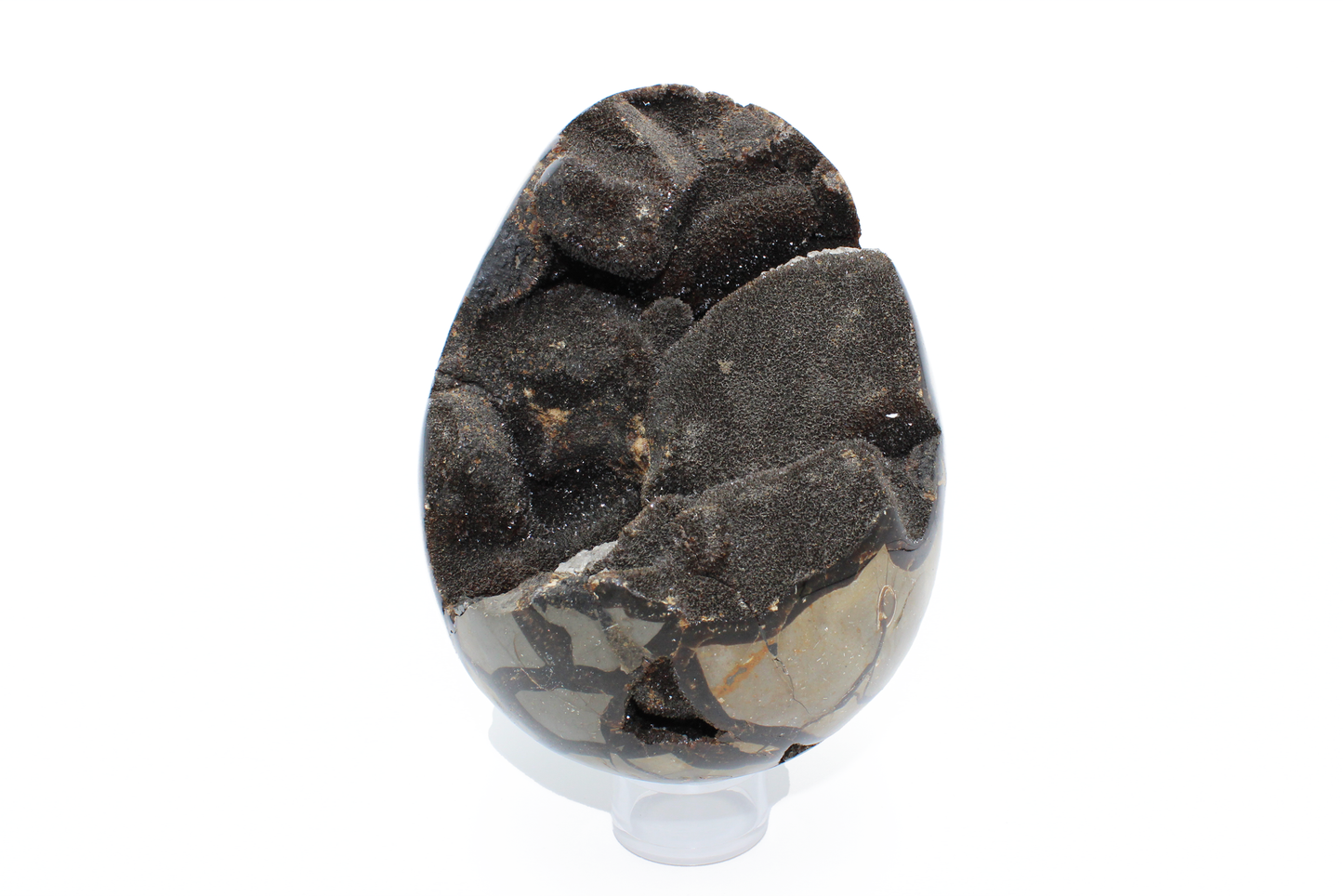 Septarian Dragon Egg - L