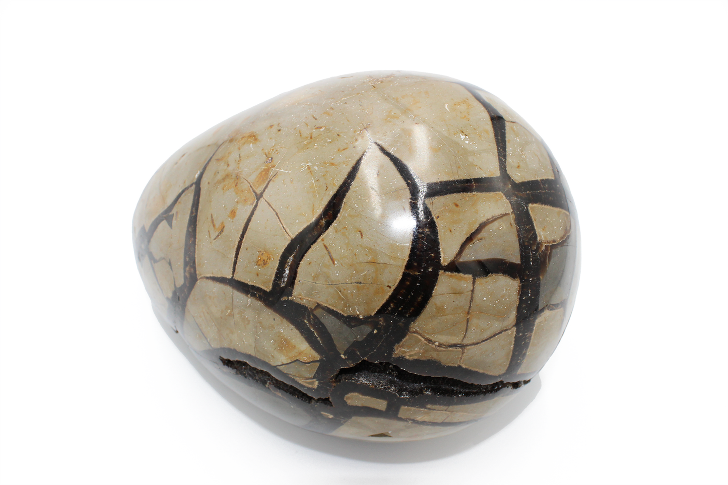 Septarian Dragon Egg - L