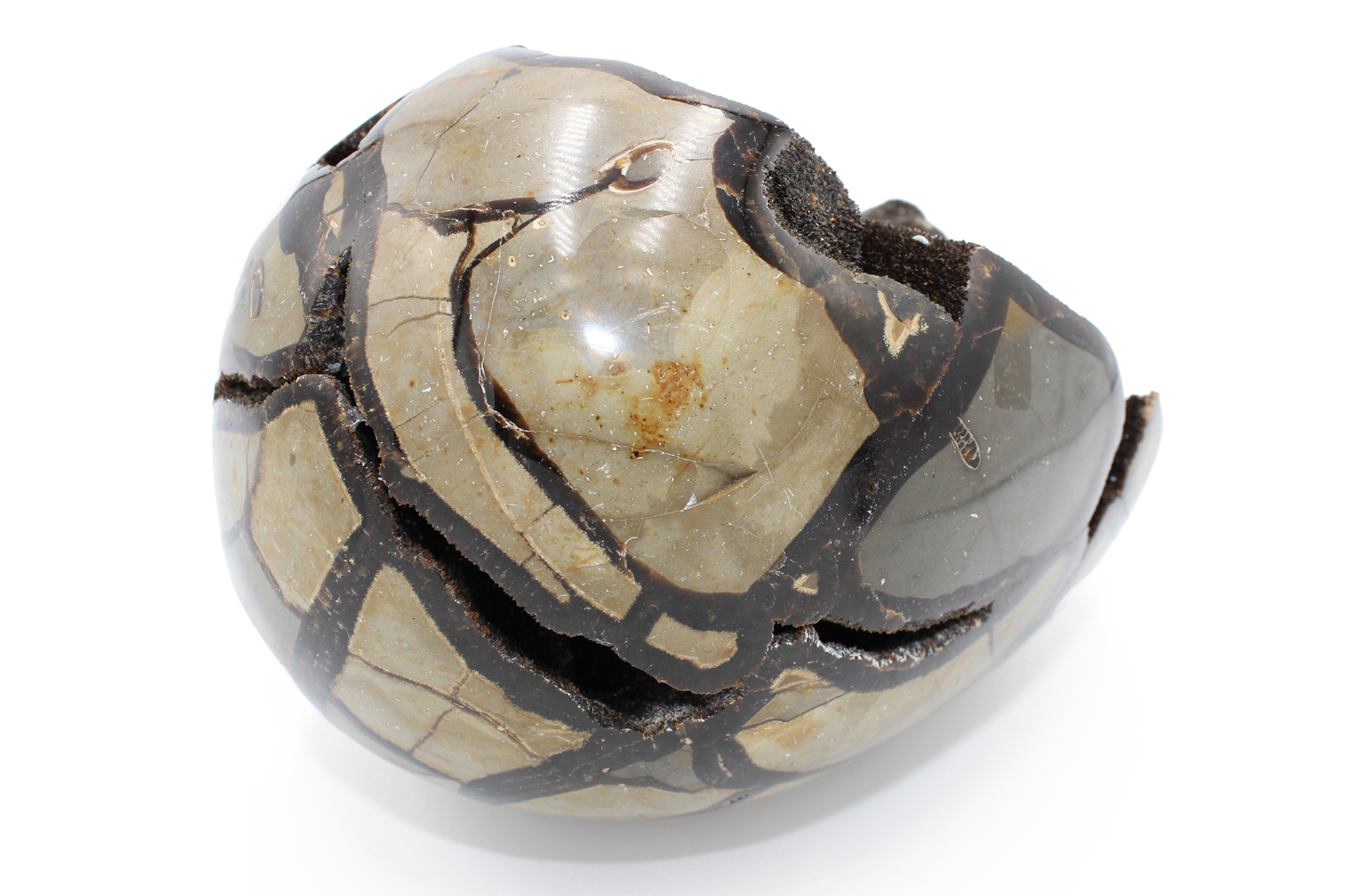 Septarian Dragon Egg - L