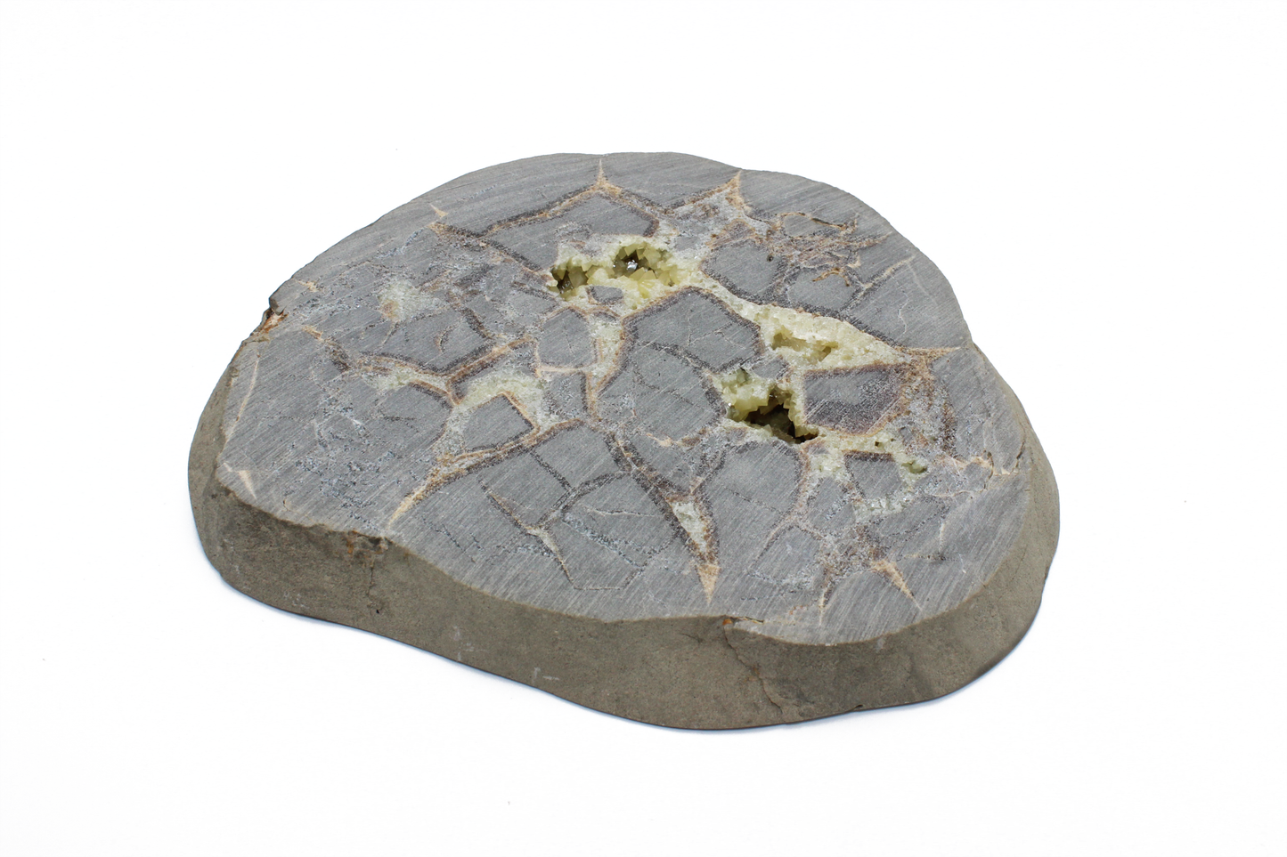 Utah Septarian Slab - C