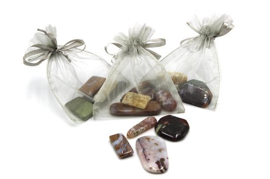 Oregon Coast Agate Bundle