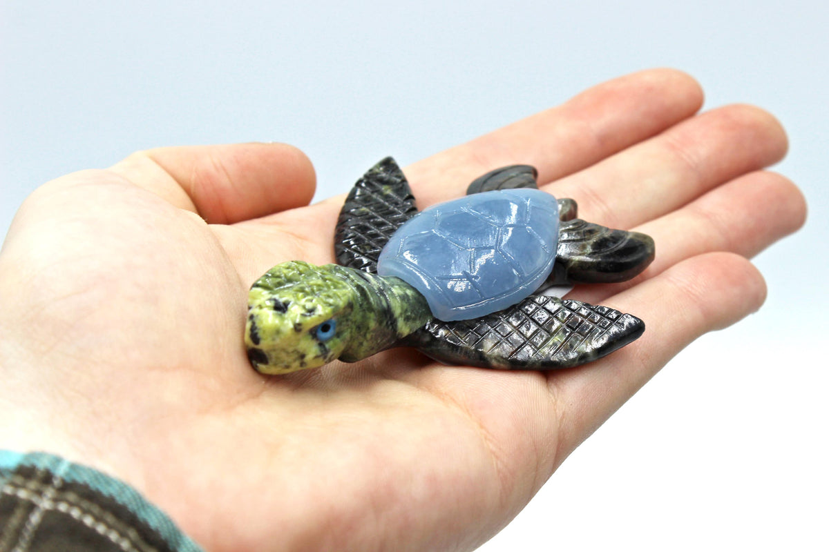 Turtle Shell Rocks Angelite Shell Turtle – Geoscape Rock Shop