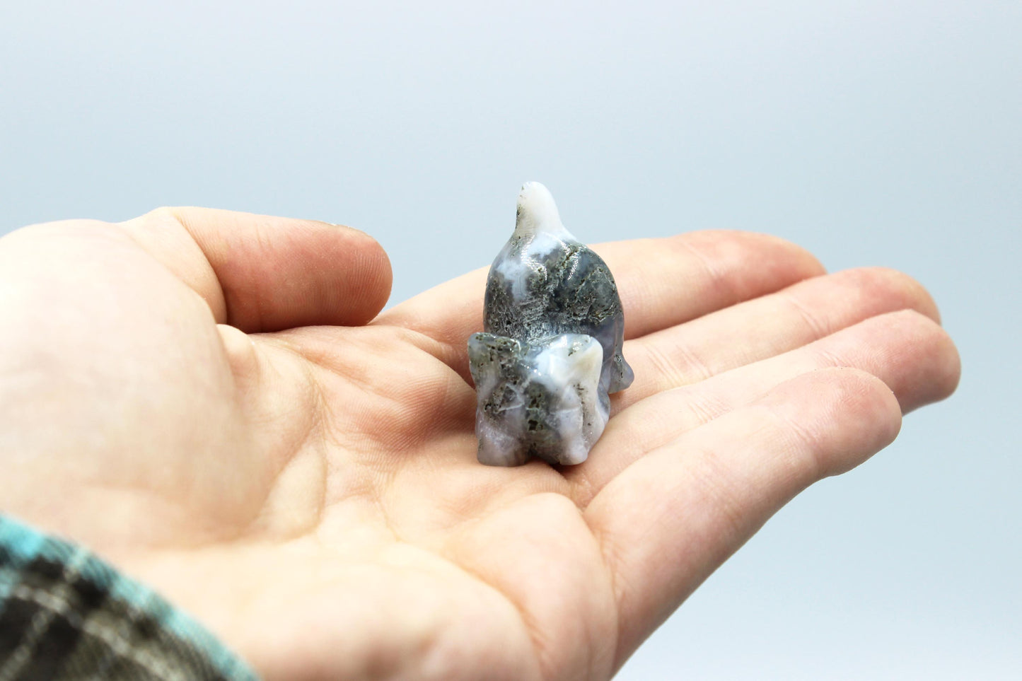 Playful Kitty Tumbles