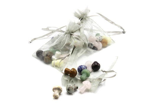 Mini Mushrooms Bundle